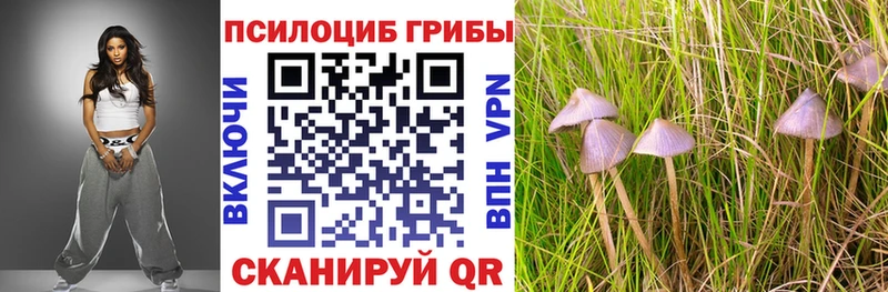 Галлюциногенные грибы мицелий  hydra ССЫЛКА  Бобров  где найти  
